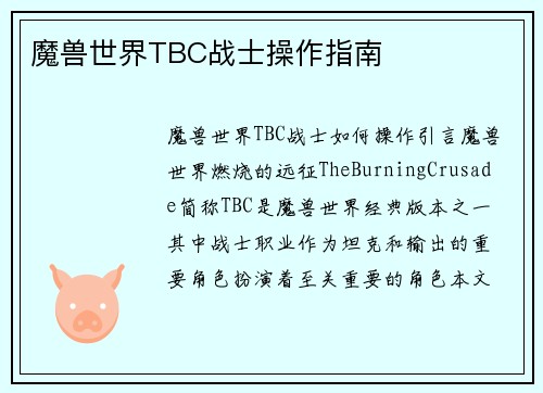 魔兽世界TBC战士操作指南