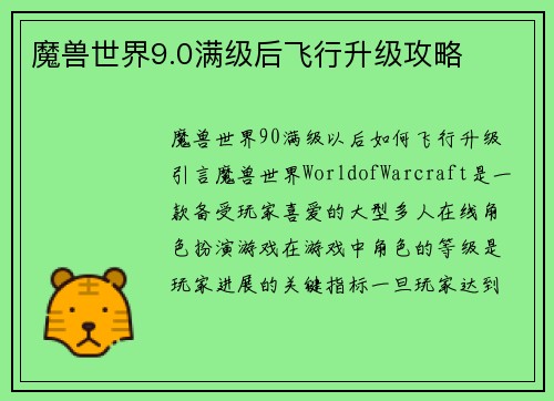 魔兽世界9.0满级后飞行升级攻略
